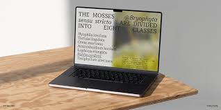 Attēlu rezultāti vaicājumam “Tortula lingulata”