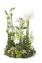 http://imariysg.tk/flowers_400/flowers-202.jpg