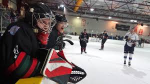 Image result for Basingstoke Bison Ice Hockey Club