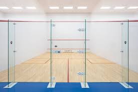 Image result for Addlestone Squash Leagues