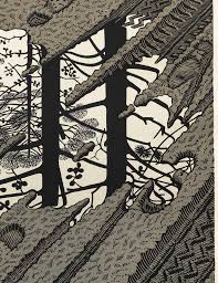 Image result for escher