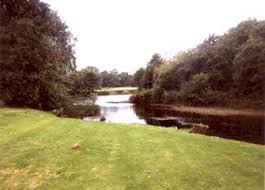 Image result for Dalmally Golf Club