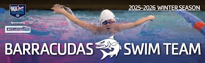 Image result for Black Country Barracudas Sub Aqua Club