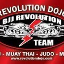 Image result for Revolution Dojo