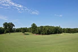 Image result for Moore Place Golf Club