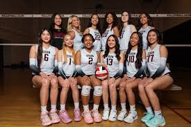 Image result for Calne Volleyball Club
