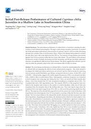 Image result for Cyprinus chilia