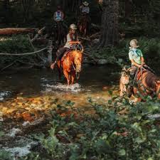 Image result for Cliff Hatch Stables