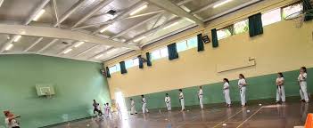 Image result for Alleyn School Of Japanese Karate