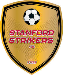 Image result for Shalford F C