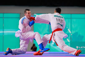 Image result for America's Best Karate