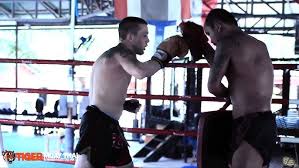 Image result for Wolverine MMA