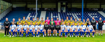 Image result for Haywards Heath Town Ladies Football Club