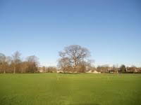 Image result for Ickwell Cricket Club