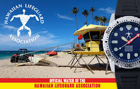 Image result for Wear Boating Association