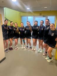 Image result for Chesterfield Netball Club