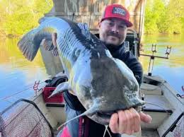 Image result for The Lancaster Fish