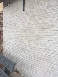 Image result for kaleien