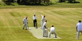 Image result for Hatherleigh Cricket Club