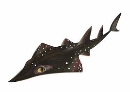 Image result for Rhynchobatus australiae