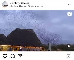 Image result for Thornton Cleveleys Cricket Club