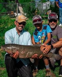 Image result for Prospect Angling Club