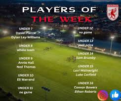 Image result for The Rhyl and District Rugby Union Football Club