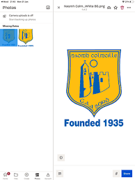 Image result for St Colmcilles Grange G F C