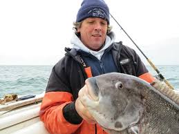 Image result for Tautoga onitis