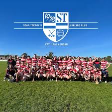 Image result for Sean Treacy`s Hurling Club