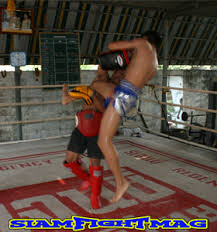 Image result for Petch Yin Dee International Muay Thai Boxing Camp
