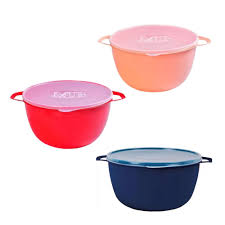 Image result for bacía