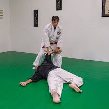 Image result for Matlock Aikido Club