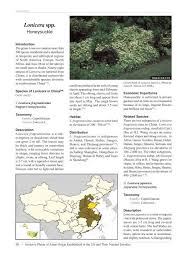 Attēlu rezultāti vaicājumam “Lonicera ferdinandii fruit”
