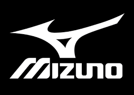 Image result for Tenbury Ladies Hockey Club