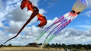 Image result for Poole Kite Fliers