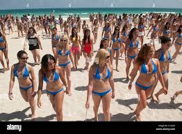 Image result for south beach models