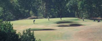 Image result for Notts Golf Club Ltd