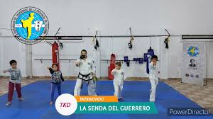 Image result for Guerrero Martial Arts