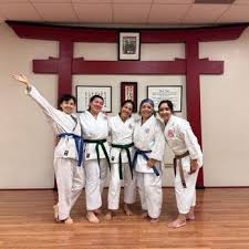 Image result for Shotokan Karate
