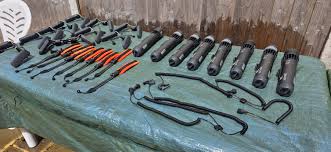 Image result for Kingston and Elmbridge Snorkellers