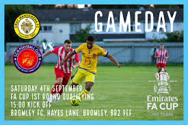 Image result for Cray Wanderers F C