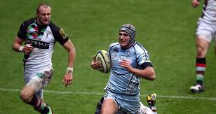 Image result for Cardiff Harlequins