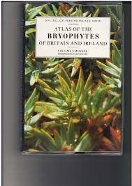 Attēlu rezultāti vaicājumam “Rhabdoweisia fugax sporophyte”