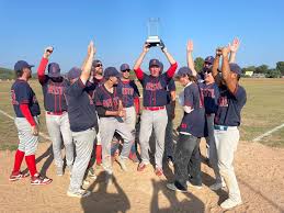 Image result for Norwich Iceni Baseball Club