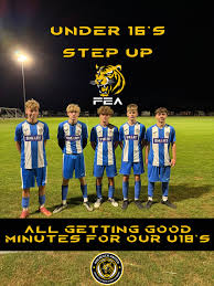 Image result for Holbeach United Youth Teams Football Club