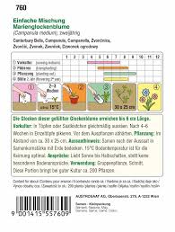 Image result for Marienglockenblumen