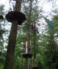 Image result for Go Ape! Whinlatter