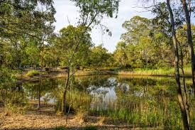 Image result for Kingfishers Netball Club