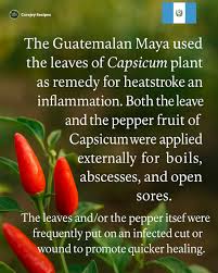 Afbeeldingsresultaat voor chili maya hot pepper hot pepper